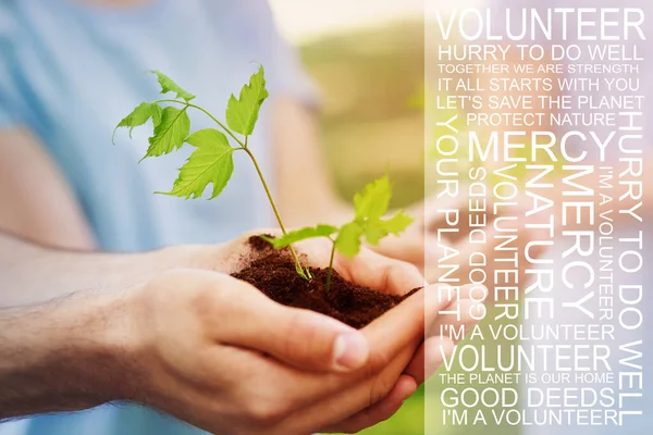 Environmental volunteering concept. Young man holding small plant outdoors, collage with eco friendly text