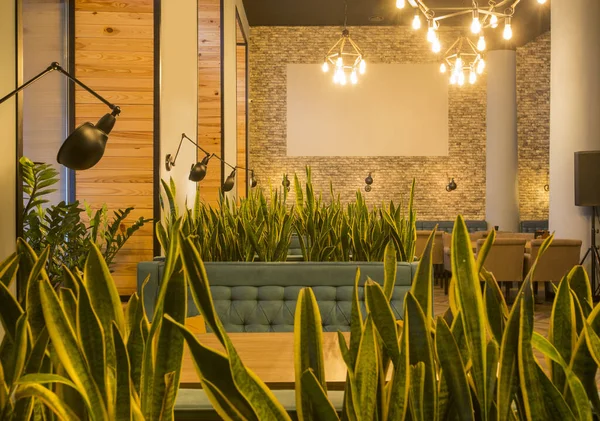 Hermoso y cómodo interior del asiento de la cafetería — Foto de Stock