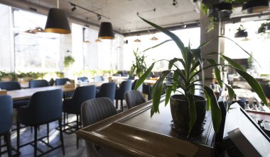 Güzel ve parlak iç mekanı olan modern Avrupa restoranı