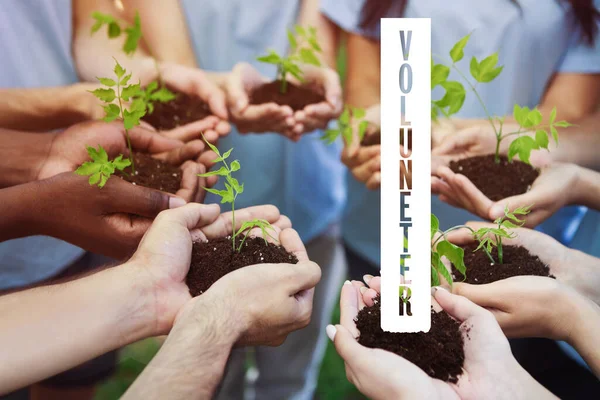 Salvar a Terra juntos. Grupo de pessoas segurando plantas verdes com sujeira em suas mãos e palavra VOLUNTEER, colagem — Fotografia de Stock
