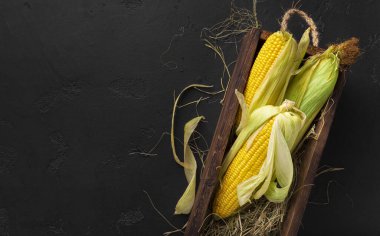 Siyah arkaplanda taze mısır koçanları, tebeşir metni için kopyalama alanı