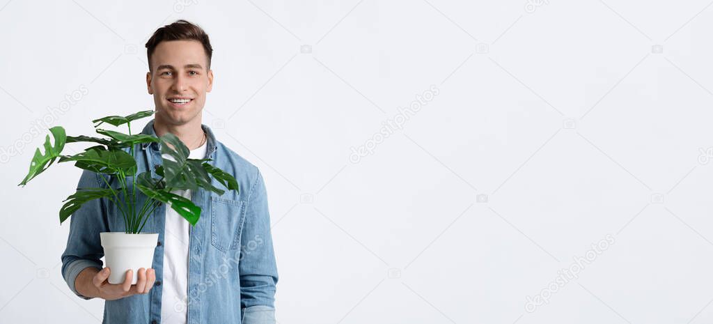 Home plant in hands of guy, panorama
