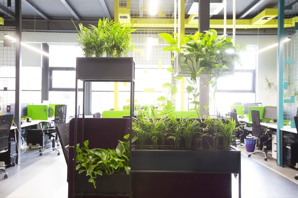 Interior de escritório com janelas de sótão, tubos amarelos e locais de trabalho verdes — Fotografia de Stock