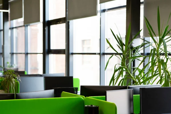 Plantas verdes vivas em potes no peitoril da janela do escritório elegante moderno — Fotografia de Stock