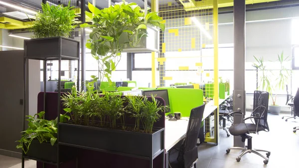 Interior de escritório moderno em estilo loft nas cores cinza, verde e amarelo — Fotografia de Stock