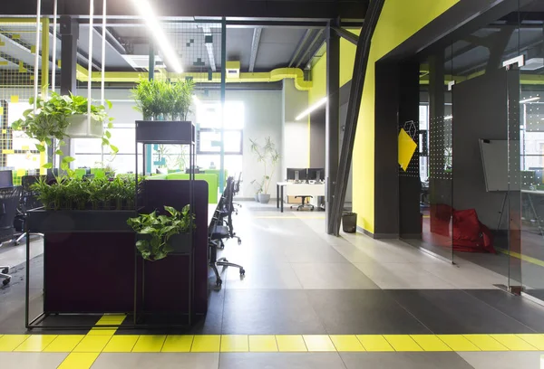 Escritório de co-trabalho em estilo loft com plantas vivas verdes — Fotografia de Stock