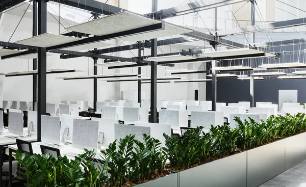 Interior de escritório moderno com plantas verdes e computadores — Fotografia de Stock