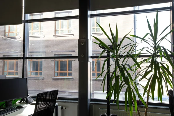 Interior de escritório natural em cores verde e cinza — Fotografia de Stock