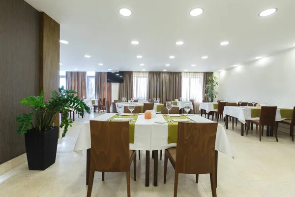 Otelde saksı bitkisi olan boş modern bir restoran. — Stok fotoğraf