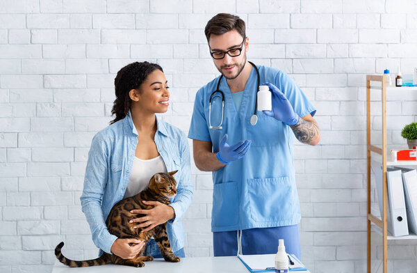 Владелец Тэбби Кэт и ветеринарный врач с лекарствами в ветеринарной клинике
