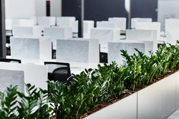 Computadores embrulhados em capa em moderno espaço aberto co-working — Fotografia de Stock