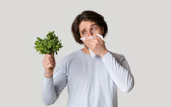 Bahar alerjisi olan ve burnunu kapatan bir adam. — Stok fotoğraf