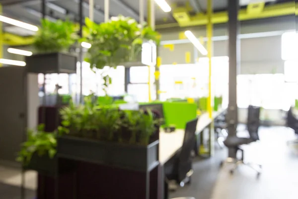 Interior espaço de escritório desfocado com canto verde planta para relaxar — Fotografia de Stock
