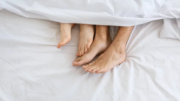 Loving couple in bed. Female legs stroking male legs