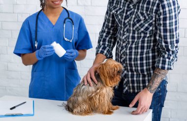 Veteriner ilaçları tutuyor ve hayvan hastanesinde küçük köpek sahibi, yakın plan.