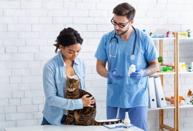 Evcil hayvan kliniğinde tekir kedisi ve erkek veterineri olan bir müşteri.