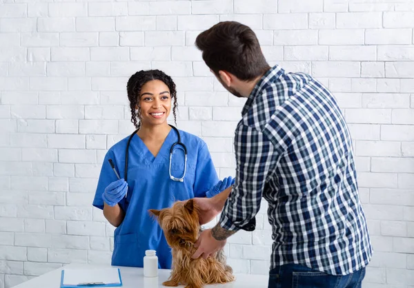 Young veterinarian talking to dogs owner about prescribed meds in animal clinic