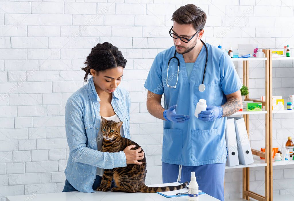 Client with tabby cat and male veterinarian in pet clinic