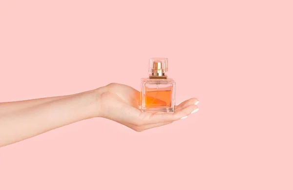 Nierozpoznawalna młoda dama pokazująca szklaną butelkę z perfumami na różowym tle, zbliżenie — Zdjęcie stockowe
