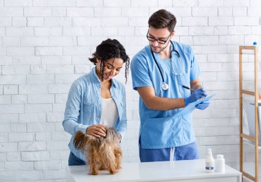 Veterineri ziyaret etme zamanı. Hastanede köpek bakıcısı olan Afrikalı Amerikalı bir kadın.