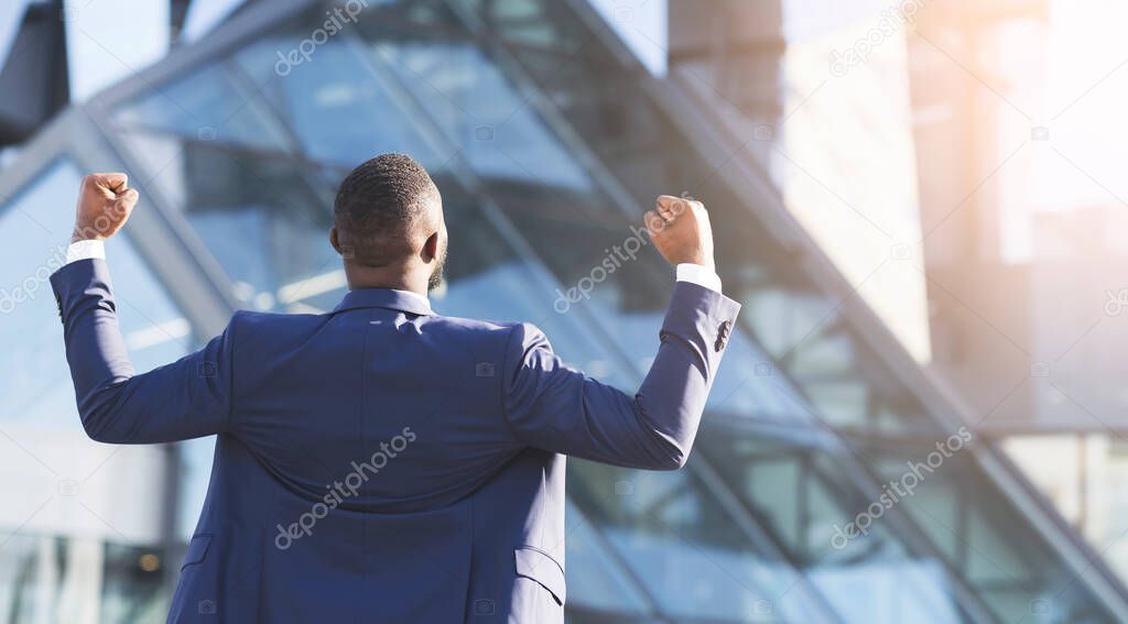 Businessman Shaking Fists Standing Back To Camera Celebrating Success Outdoors