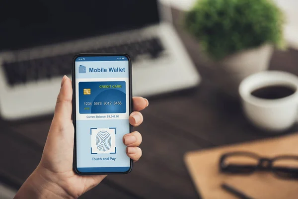 Mãos segurando telefone celular com aplicativo de pagamento online — Fotografia de Stock