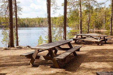 Tablolar ve ormanda piknik Finlandiya için banklar