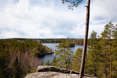 Ormanın kıyısında Gölü - bakış açısı