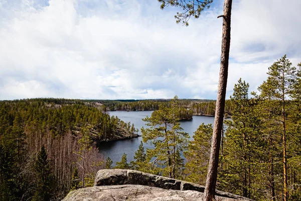 Ormanın kıyısında Gölü - bakış açısı
