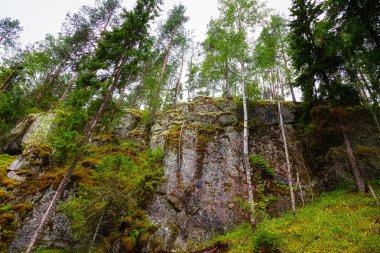 Ormanda büyük kayalar