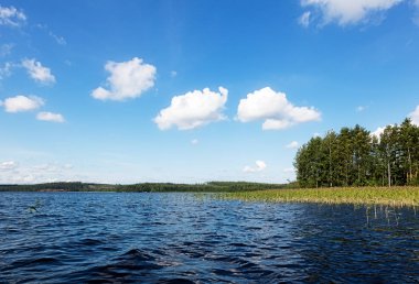 Güneşli yaz gününde gölün kıyısında