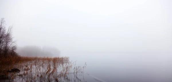 Paisaje invernal - lago, bosque, niebla —  Fotos de Stock