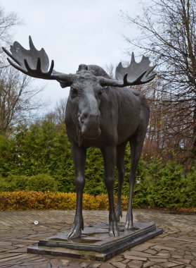 Sovetsk, Kaliningrad bölgesi, Elk bir anıt