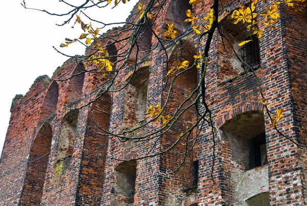 Tour de Neman, região de Kaliningrado, ruínas castelo de Ragnit — Fotografia de Stock