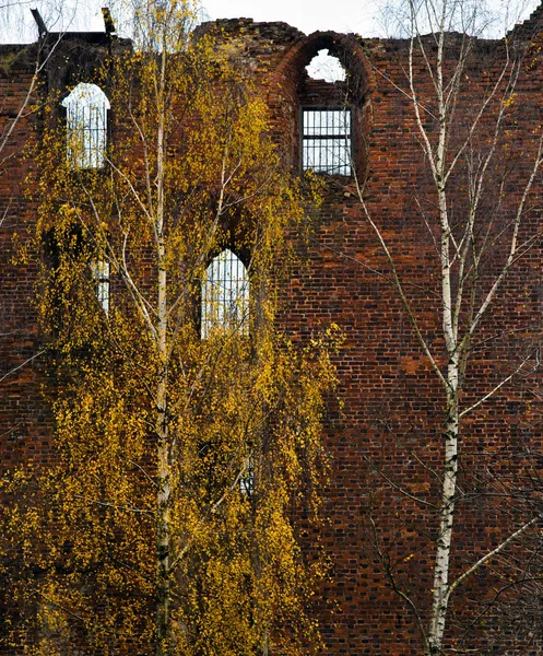 Tour de Neman, région de Kaliningrad, ruines château de Ragnit — Photo