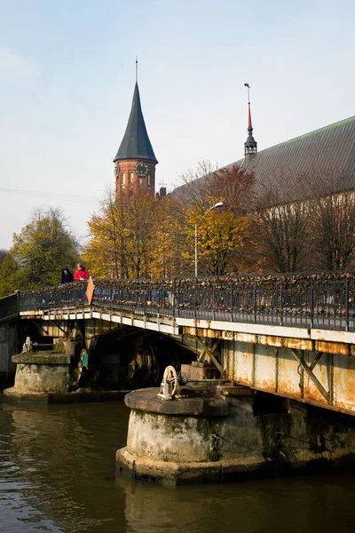 Kaliningrad. Une vue de l'île de Kant depuis la cathédrale — Photo