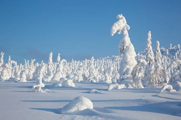 Beautiful winter in Russian Karelia — Stock Photo, Image