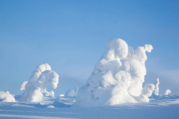 Beautiful winter in Russian Karelia — Stock Photo, Image