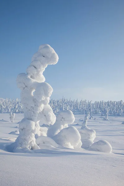 Schöner winter in russisch karelien — Stockfoto