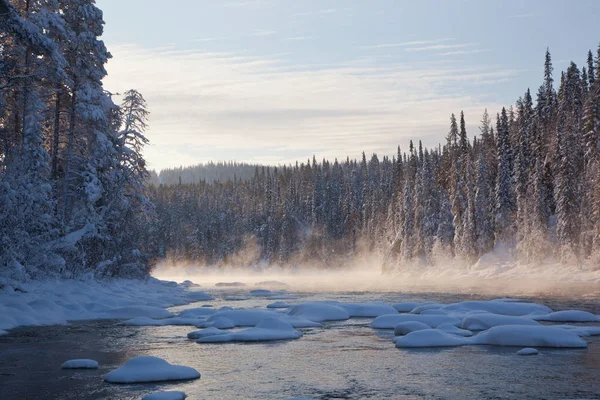 Karelya, parkta Paanajrvi çam