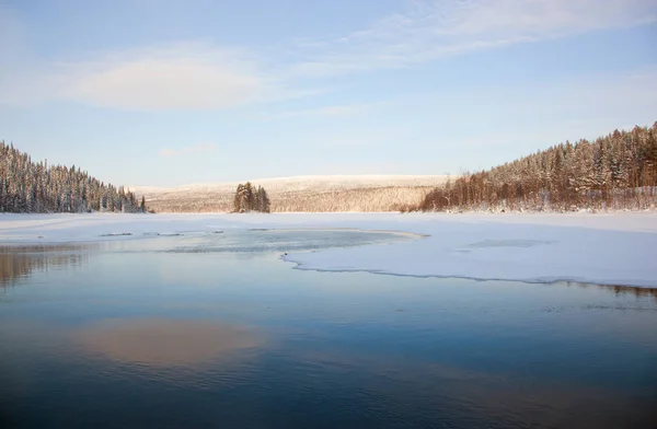 Karelia, sosna w parku Paanajrvi — Zdjęcie stockowe