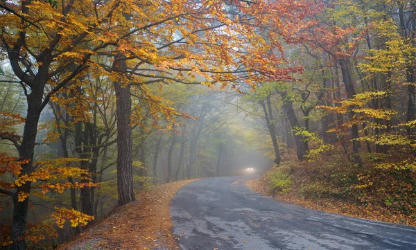 Estrada para as montanhas nebuloso dia de outono — Fotografia de Stock