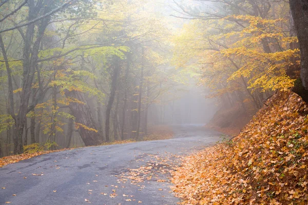 Estrada para as montanhas nebuloso dia de outono — Fotografia de Stock