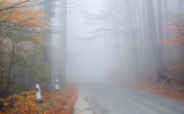 Road to the mountains misty autumn day — Stock Photo, Image