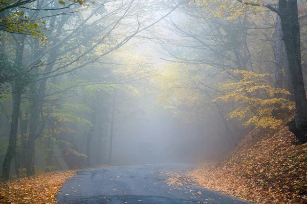 Dağlar dumanlı sonbahar günü yola