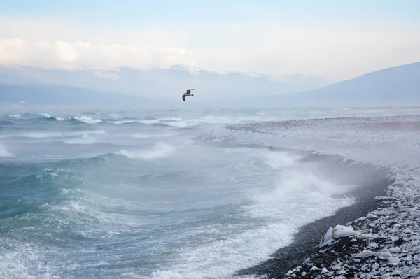 Seascape of the Black Sea in the winter