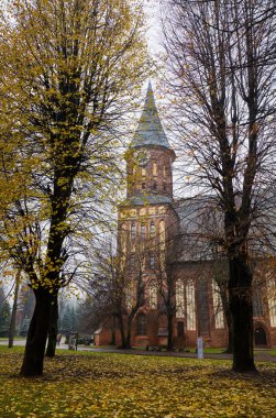 Kaliningrad Katedrali