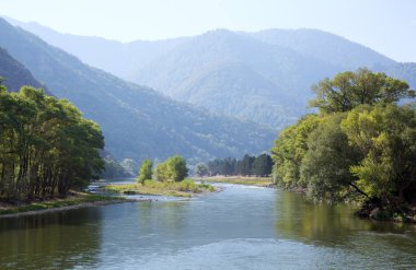 Bir nehir ve dağ Gürcistan'daki güzel sahne