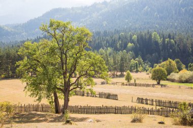 Goderdzi pass yolda güzel sahne
