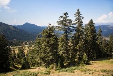 Goderdzi pass yolda güzel sahne